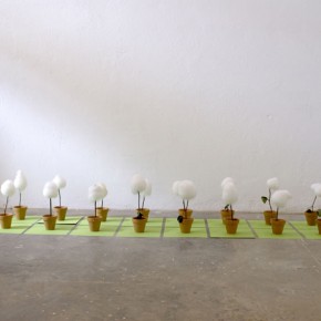 Angela Hernández | Mimosa púdica sensitiva | 2008 | Instalación | dimensiones variables