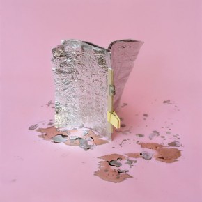 Libro de estudio II | 2012 | Archival pigment print, edición: 5 + p/a | 70cmx70cm