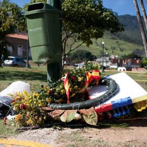 Lisa Blackmore | Naturaleza muerta: Foro libertador