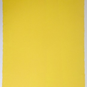 Héctor Fuenmayor | CITRUS 6906 I 2013 | Pintura industrial sobre papel | 75 x 56,5 cm