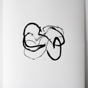 Siliceous drawings (2011) | Tinta china sobre papel | 75 x 50 cm
