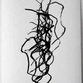 Siliceous drawings (2011) | Tinta china sobre papel | 75 x 50 cm