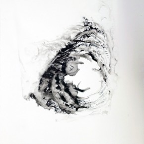 29. Lepidoptero B | 2013 | Tintas de pigmento y agua sobre papel | 40 x 30 cm