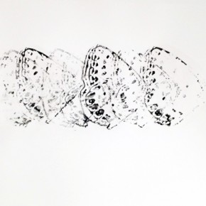 5. Serie Lepidópteros. Nabokovia faga excisicosta II | 2013 | Tintas de pigmento y agua sobre papel | 55 x 75 cm