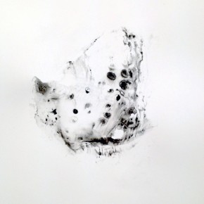 7. Serie Lepidópteros. Nabokovia faga excisicosta III | 2013 | Tintas de pigmento y agua sobre papel | 55 x 37 cm