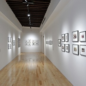 Vista de exposición en Museo Amparo | Fotografía: Carlos Varillas